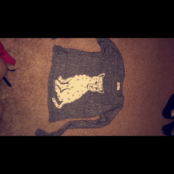 Hollister sweater