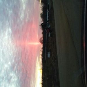 Meet your Posher, Nellie