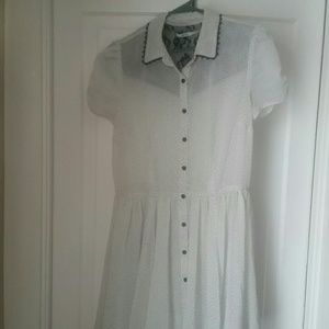 dress size medium, kimchi blue and tramp