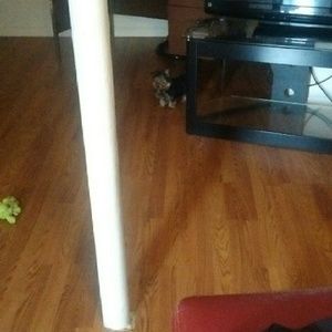 Meet your Posher, Davina