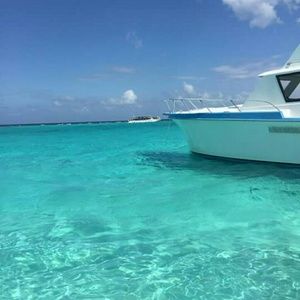 Meet your Posher, Mandra