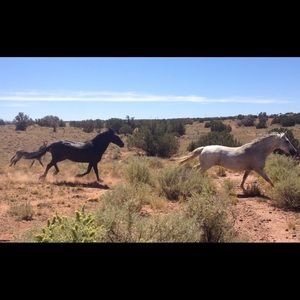 Meet your Posher, Madelyn