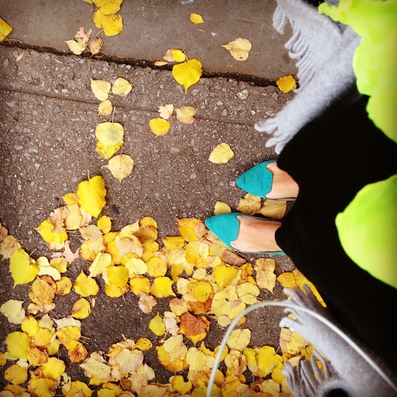 Meet your Posher, Lili! - Picture 2 of 3