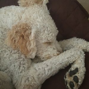 Meet your Posher, Rickilynn