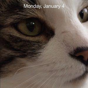 Meet your Posher, Nancy