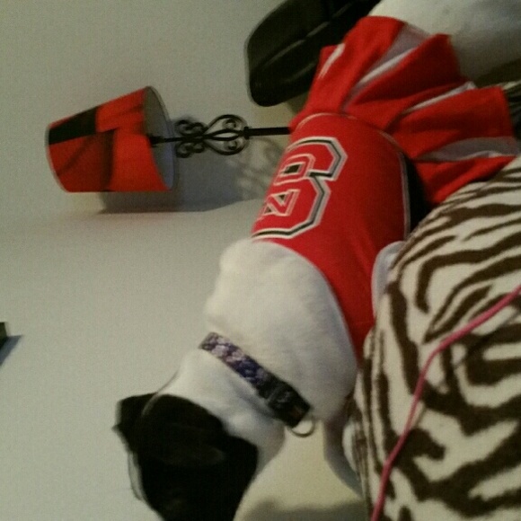 Dog clothes