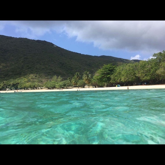 Meet your Posher, Samantha - Picture 4 of 8