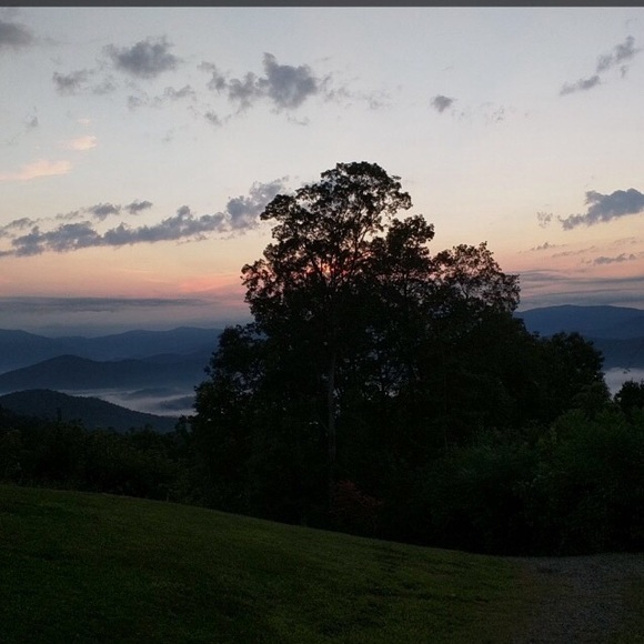 Meet your Posher, Samantha - Picture 5 of 8