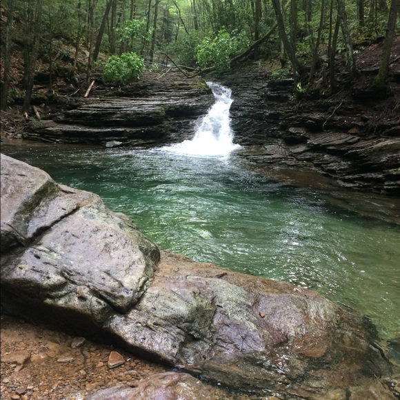 Meet your Posher, Samantha - Picture 7 of 8