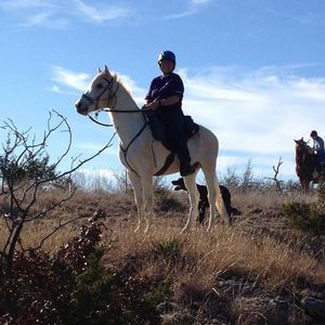 Meet your Posher, Alice