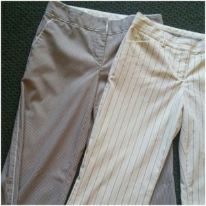 Express Dress Pants