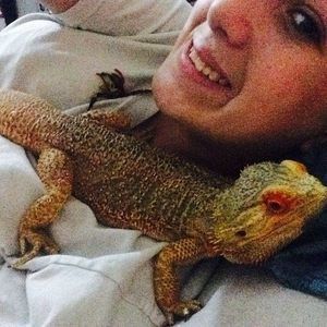 Meet your Posher, Destiny