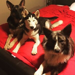 Meet your Posher, Brittany