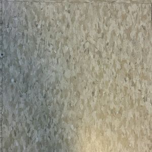 Meet your Posher, Trelvis