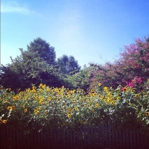 Meet your Posher, Elycia