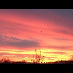 Meet your Posher, Willow