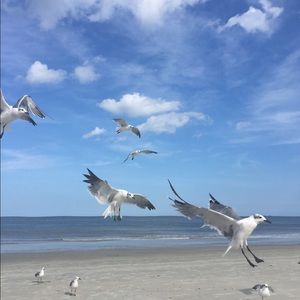 Meet your Posher, Annette