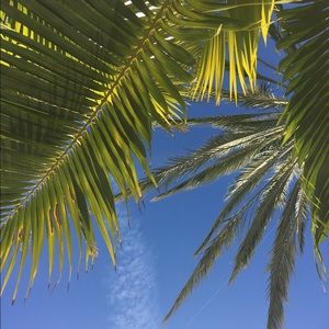 Meet your Posher, Molly