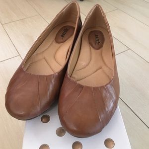 earth bellwether flats