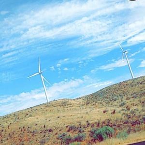 Meet your Posher, Briana