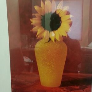 Meet your Posher, Hope