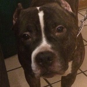 Meet your Posher, Sandi