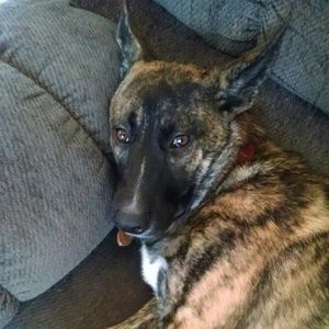 Meet your Posher, Gale