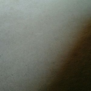 Meet your Posher, Analou