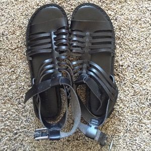 American eagle gladiators