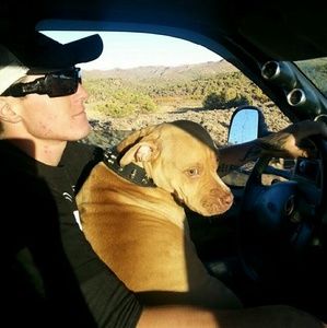 Meet your Posher, Benjamin