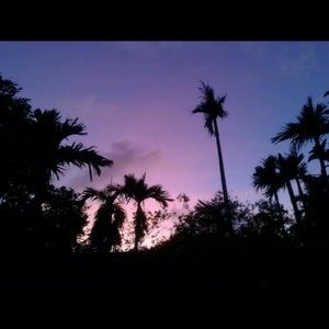 Meet your Posher, Kaylee