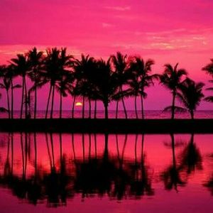 Meet your Posher, New york