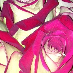 Meet your Posher, Anisa