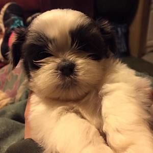 Meet your Posher, Tina