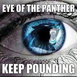 Meet your Posher, Mandy