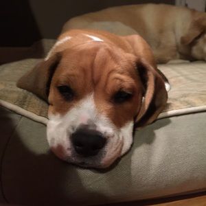 Meet your Posher, Mary