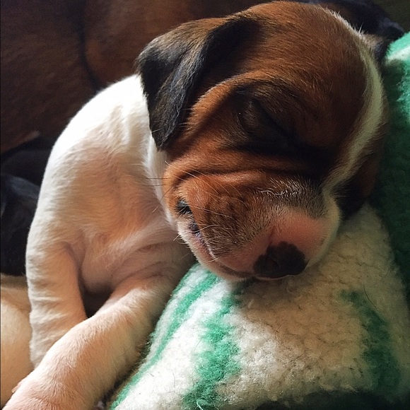 Meet your Posher, Emalee