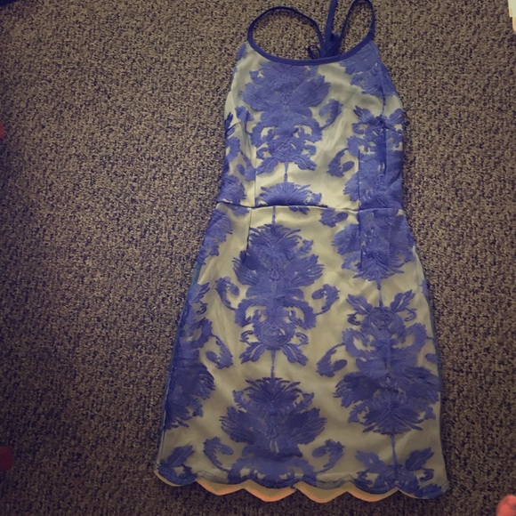 Scalloped lace bodycon