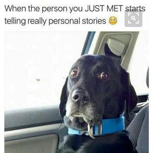 Meet your Posher, Kelly