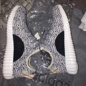 NEVER WORN YEEZY TURTLE DOVE