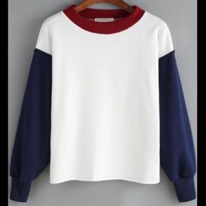Colorblock Crop Sweatshirt