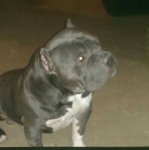 Meet your Posher, Ana