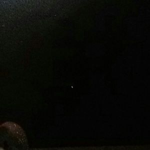 Meet your Posher, Ray