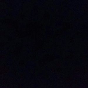 Meet your Posher, Toshia