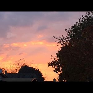 Meet your Posher, Zeinab