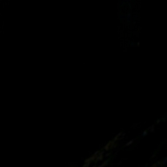 Meet your Posher, Zoe - Picture 1 of 1