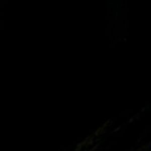 Meet your Posher, Zoe