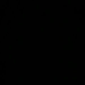 Meet your Posher, Adan