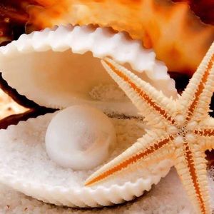 Meet your Posher, Gracie