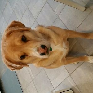 Meet your Posher, Bria